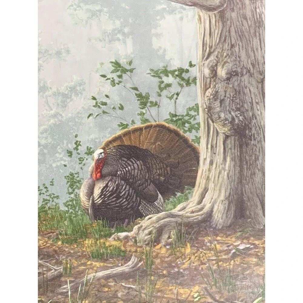 Seabrook Designs Wild Turkey Prepasted Wallpaper Border HG522B X 3 rolls